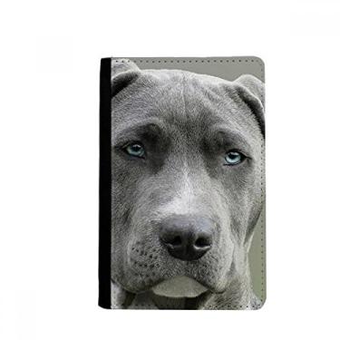 Imagem de Bonito cão animal imagem animal porta-passaporte notecase burse carteira capa porta-cartão, Multicolor