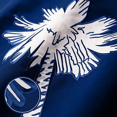 Imagem de G128 South Carolina SC State Flag | 6,5 x 1,2 m | Bordado 220 GSM Poliéster Fiado - Estrelas bordadas, listras costuradas, ilhós de latão, interior/exterior, cores vibrantes, poliéster fiado resistente