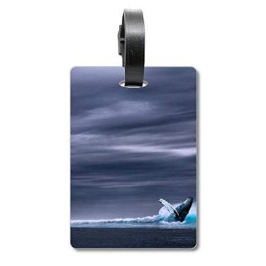 Imagem de Oceano jubarte peixe ciência natureza imagem mala etiqueta bagagem cartão pendurado Scutcheon etiqueta