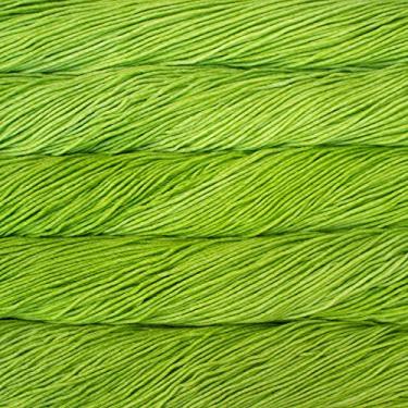 Imagem de Malabrigo Yarn Rios (011 - Verde maçã)