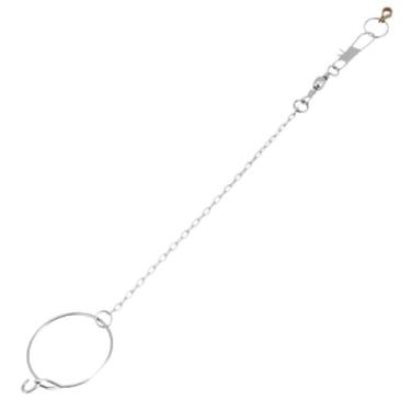 Imagem de Pássaro Tornozeleira Corrente Papagaio Pé Anel Aço Inoxidável Pássaro Leash Papagaio Abertura Atividade Anel Bird Stand Tornozeleira Pet Bird Suprimentos para Nyasa Lovebird Calopsita Calopsita Cacatuao Sol Conure Monge Periquito (3.5mm)