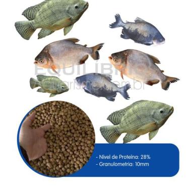 Imagem de Ração P/ Carpas, Tilapias E Outros Grande Porte (10mm) 1kg - equilíbri