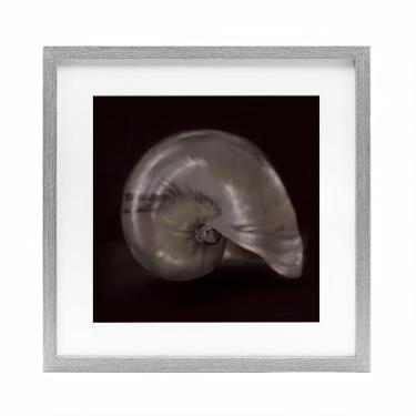 Imagem de Stupell Industries Impressão emoldurada Seashell Treasure of Sea Birch Under Glass, design by Mary Sparrow, 16 x 16