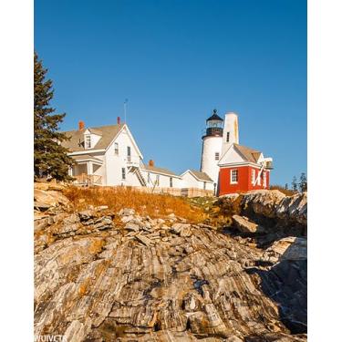 Imagem de WUIVCTR Paint by Numbers Conjunto de pintura em tela DIY Lighthouse and Rocky Maine Coast Pemaquid Point Maine com pincel de pigmento acrílico para adultos, 40,6 cm x 50,8 cm