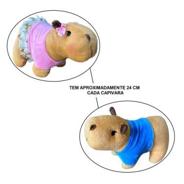 Imagem de Kit 2 Pelúcias de Capivara P com Roupa Rosa e Azul Removível  Mury Bab