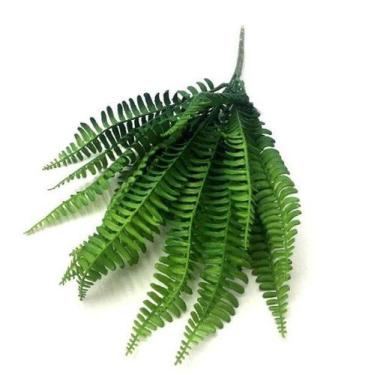 Imagem de Samambaia DN0002 - Villaggio das Flores