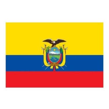 Imagem de Bandeira  Oficial 1,50x0,90m C/ Anilhas P/ Mastro  - Tem Tudo OnLine