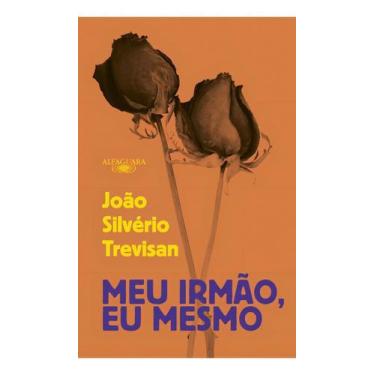 Imagem de Livro - Meu irmão, eu mesmo - Alfaguara