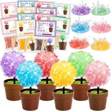 Imagem de MOVINPE Vaso de flores de cristal para sala de aula para presente de dia dos namorados