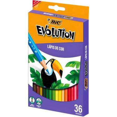 Imagem de Lápis De Cor Sextavado Evolution 36 Cores Bic