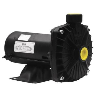 Imagem de Bomba Centrifuga Dancor CP6R 1 cv (127/220 v.) bivolt