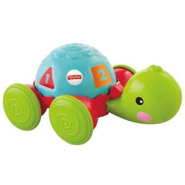 Imagem de Empurra Tartaruga Fisher-Price Y8652 - Colorido