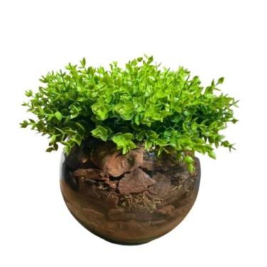 Imagem de Arranjo Com Verdinhos Eucalipto Real Vaso De Vidro Completo - La Caza 