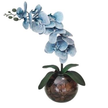 Imagem de Arranjo 1 Orquídea Real Azul Delicada Vaso Vidro Terrário - La Caza St