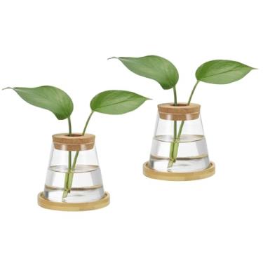 Imagem de PATIKIL Vasos de vidro para estação de propagação de plantas, 2 peças, vaso de terrário trapézio de mesa com bandeja de madeira e tampa para escritório hidropônico, decoração de casa, plantas