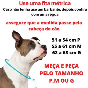 Imagem de Colar Elos Inox