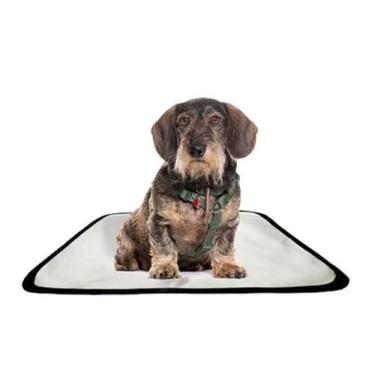 Imagem de Tapete Pet Impermeável Educador Dog Oferta 1 Un P 50X60Cm - Shelby Mod