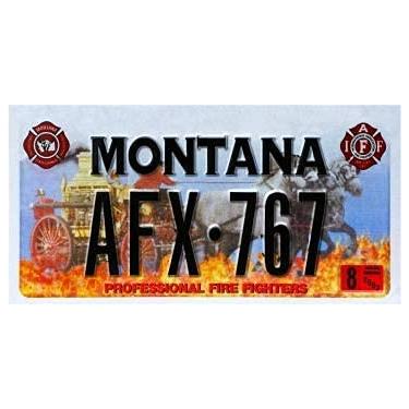 Imagem de OPO 10 - USA car License Plate - Replica Metal: Montana (N29)