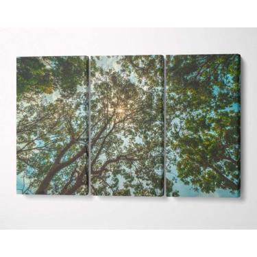 Imagem de 3 Quadros em Tecido Canvas Árvores Altas Galhos Floresta - LindaCasaPr