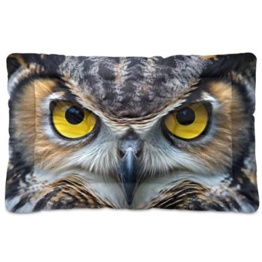 Imagem de Wassud Cama de cachorro com olhos de coruja desenhados à mão, camas grandes para cães ao ar livre, tapete lavável para animais de estimação, cama de gato para dormir, viagens, 45 x 61 cm