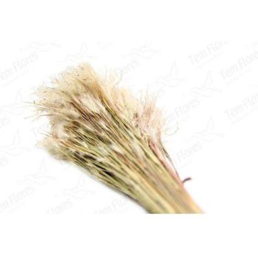 Imagem de Pluminha Natural Flor Desidratada Buque Flores Secas - Pense Flores