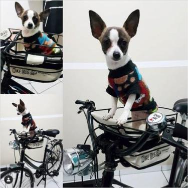 Imagem de Cestinha Cadeirinha Bike Dog Para Cachorro Transporte seu cão na Bike 