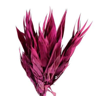 Imagem de Capim Navalha Folha André Quice Rosa - Pense Flores