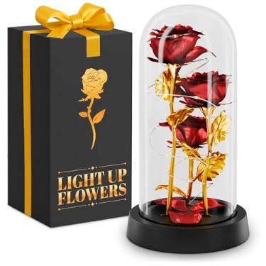 Imagem de KETAR Rosa em cúpula de vidro – luzes de flores rosas de vidro LED, rosas românticas para decoração de casa, lindos presentes de aniversário para mulheres | presentes para mãe, avó e namorada