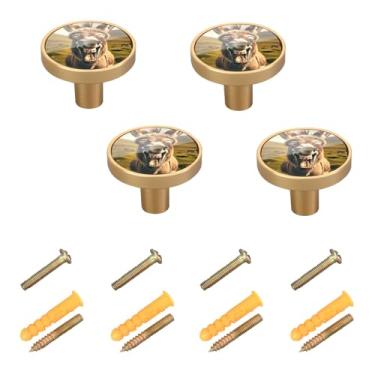 Imagem de Funny Donkey Pacote com 4 ferragens de latão para casa, escritório, cozinha, banheiro, armário de cozinha com parafuso