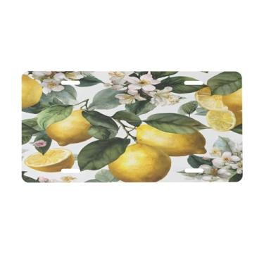 Imagem de Linda placa de licença de limão em aquarela para frente do carro placas de carro alumínio metal adequado para caminhão, placa de porta de carro, bar, café, acessórios automotivos para homens e