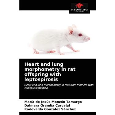 Imagem de Heart and lung morphometry in rat offspring with leptospirosis: Heart and lung morphometry in rats from mothers with canicola leptospira