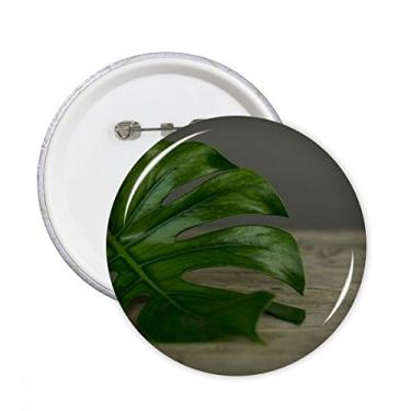 Imagem de Quadro de planta de folha de mesa natureza alfinetes redondos emblema botão decoração acessório 5 peças