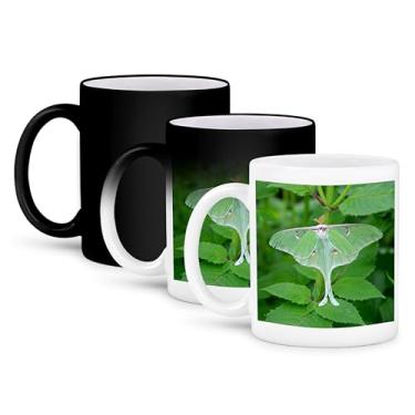 Imagem de 3dRose Caneca de uso índigo com cerca de arame farpado, Marion, Illinois, 325 ml, preto/branco