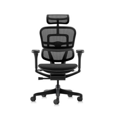 Imagem de Cadeira ergonômica Ergohuman Elite 2 All Black