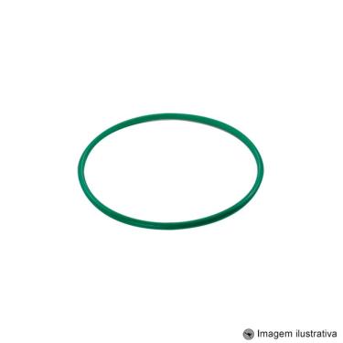 Imagem de Guarnição Módulo Combustível Sandero 1.4 4C 8V 08 ... / Logan 1.2 4C 16V 04 ...