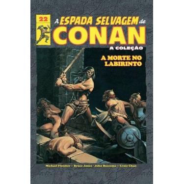 Imagem de A Espada Selvagem De Conan Vol. 22 - Panini Comics