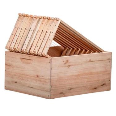 Imagem de Caixa Ninho ou Sobreninho Abelha Europeia Africana Caixilho - Apiario 