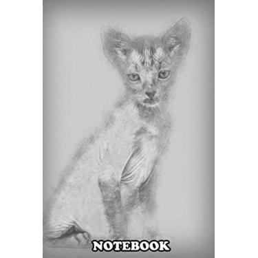 Imagem de Notebook: Kitten Lykoi Cat 7 Weeks Old Also Called The Werewolf C , Journal for Writing, College Ruled Size 6" x 9", 110 Pages