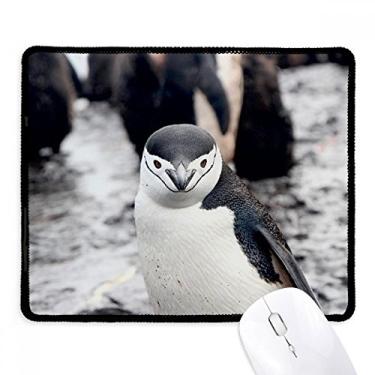 Imagem de Mousepad de pinguim de animais selvagens com borda costurada para jogos