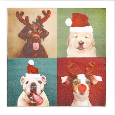 Imagem de GUARDANAPO PAPEL C/20FL CAO C/ GORRO 33cm C/1 UN 1003449