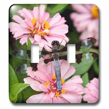 Imagem de 3dRose lsp_206212_5 cm Escumadeira com doze manchas em Zinnia material curto, Marion Co IL interruptor duplo