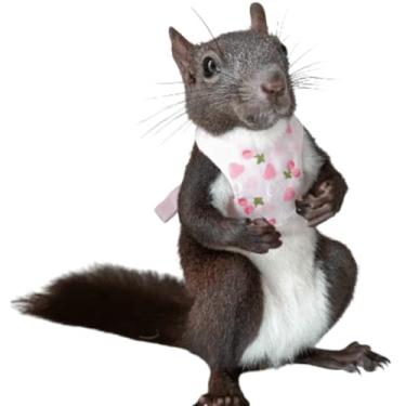 Imagem de Arreio de esquilo, conjunto de coleira para animais de estimação pequenos, roupas macias para uso ao ar livre para porquinho-da-índia chinchila esquilo furão (rosa A)