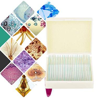 Imagem de Generic Lâminas de Microscópio Preparadas para Biologia, Conjunto Premium de 25 Unidades para Estudantes, Programa Escolar Em Casa, Educação