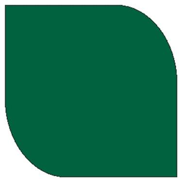 Imagem de Tinta PVA True Colors 250 ml Verde Natal - 7104