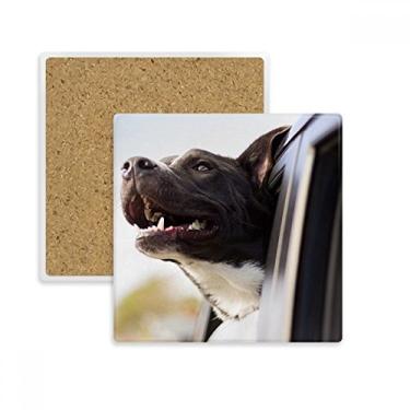 Imagem de Porta-copos quadrado com foto de animal de cachorro preto, porta-copos com suporte de subplaca