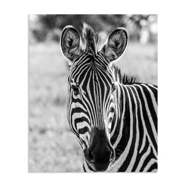 Imagem de SDYJ6GSW Imagens de animais em preto e branco para decoração de parede Zebra preto e branco imagem de animal impressão de imagem de cavalo pintura de parede zebra decoração de parede para sala de