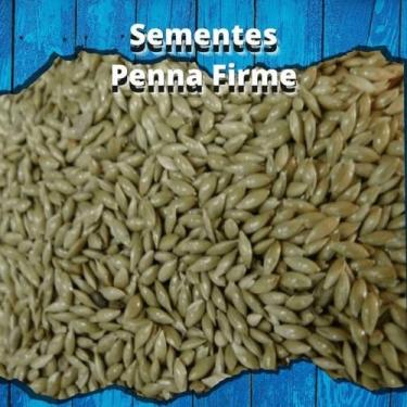 Imagem de Semente de Alpiste - 1kg - MS