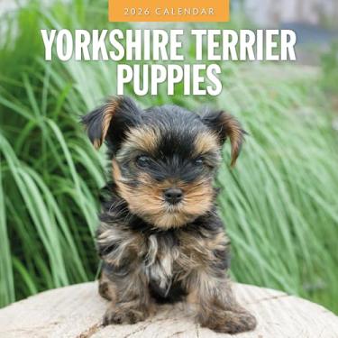 Imagem de Calendário mensal de parede Red Robin 2026 Yorkshire Terrier Puppies | Abertura de 30,5 cm x 61 cm | Papel grosso e resistente premium | Calendário de 12 meses pendurável | Notas forradas e área para