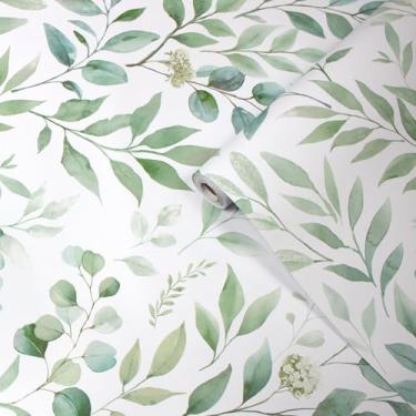 Imagem de GaliGali Papel de parede floral boho folha de eucalipto amigável para locatário papel de parede removível descasque e cole papel de contato autoadesivo para banheiro decoração de casa 43,9 cm x 998,2
