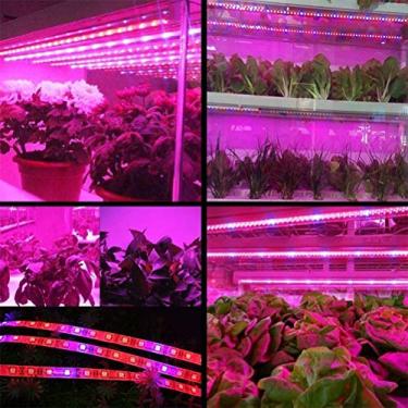 Imagem de Fafeicy Corda de Luz LED para Crescimento de Plantas, SMD 5050 à Prova d'água para Estufa, Promove a Fotossíntese, Perfeita para Cultivo de Vegetais e Horticultura (#01)